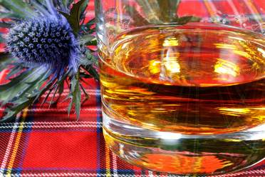 A glass of whiskey on a red tartan cloth beside a blue thistle flower.