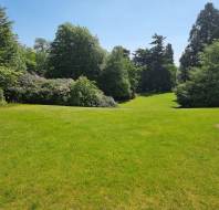A well-maintained grassy lawn stretches towards dense green trees and shrubs under a clear blue sky.