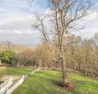 Terrace view