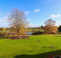 A landscaped garden with a large green lawn, scattered trees, walking paths, and a pond under a bright blue sky with scattered clouds.
