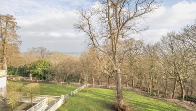 Terrace view