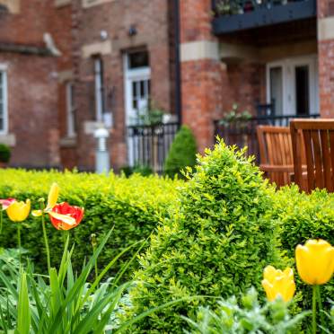 Spring tulips in a courtyard garden