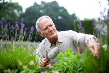 An older man wearing a checkered shirt tends to plants in a garden, surrounded by green foliage and purple flowers.