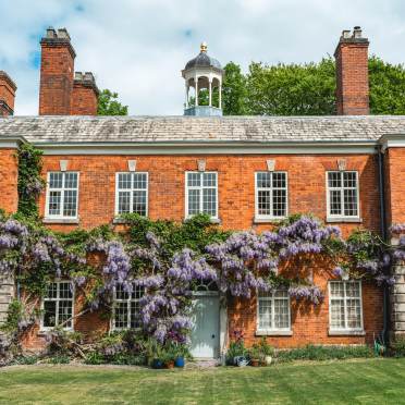 grow your own wisteria to rival queen charlotte's garden
