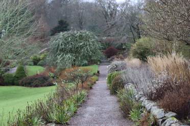 Play with light and shadow when planting winter shrubs