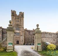 A large historic stone castle with towers, arched entrance, and ornate gates, surrounded by parked cars and yellow flowers under a clear sky.