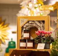 A display featuring a cardboard box with a wreath, three labeled jars, and a potted plant with a price tag reading "Plants £3.00" set against a festive, blurred background.