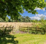 A grassy field bordered by a wooden fence, with leafy trees overhead and a blue sky with scattered clouds in the background.