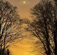 The sun sets behind distant buildings, framed by leafless trees, with a bright circular lens flare visible in the sky.