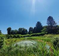 Summer photo of Audley Chalfont Dene in Buckinghamshire, photo credit to Akshay Acharekar, General Manager