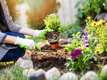 Your spring gardening tips
