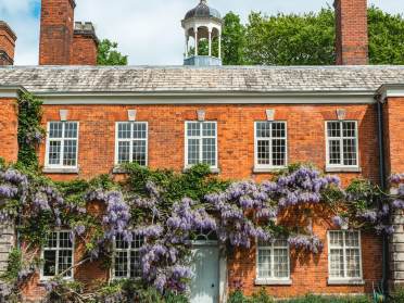 grow your own wisteria to rival queen charlotte's garden